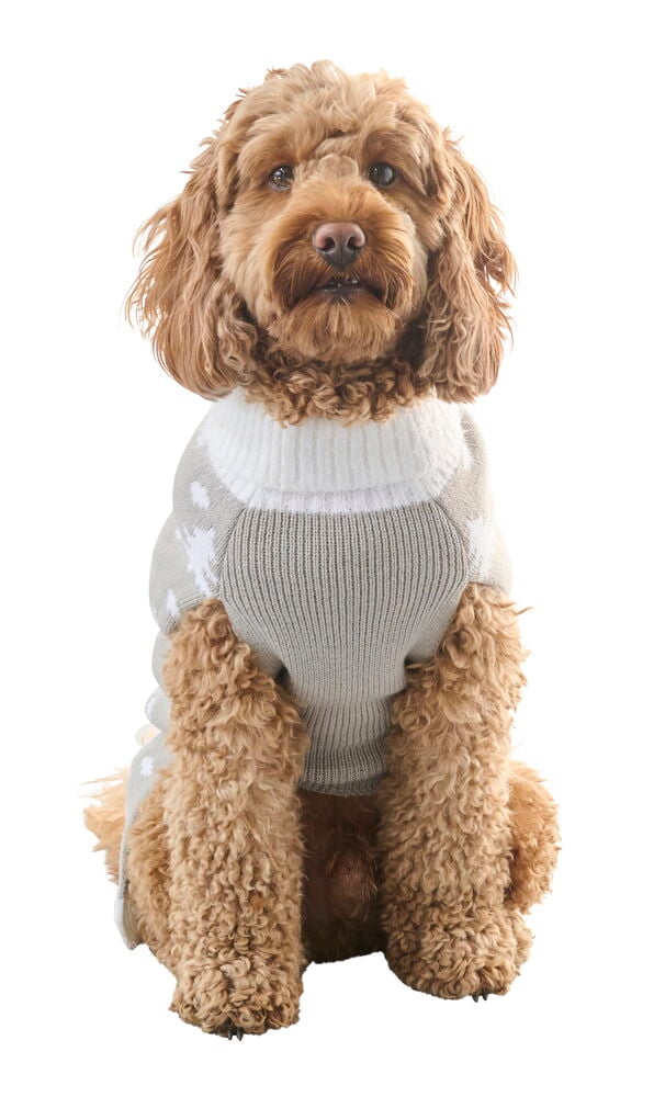 Hundtröja Pet Club - 2