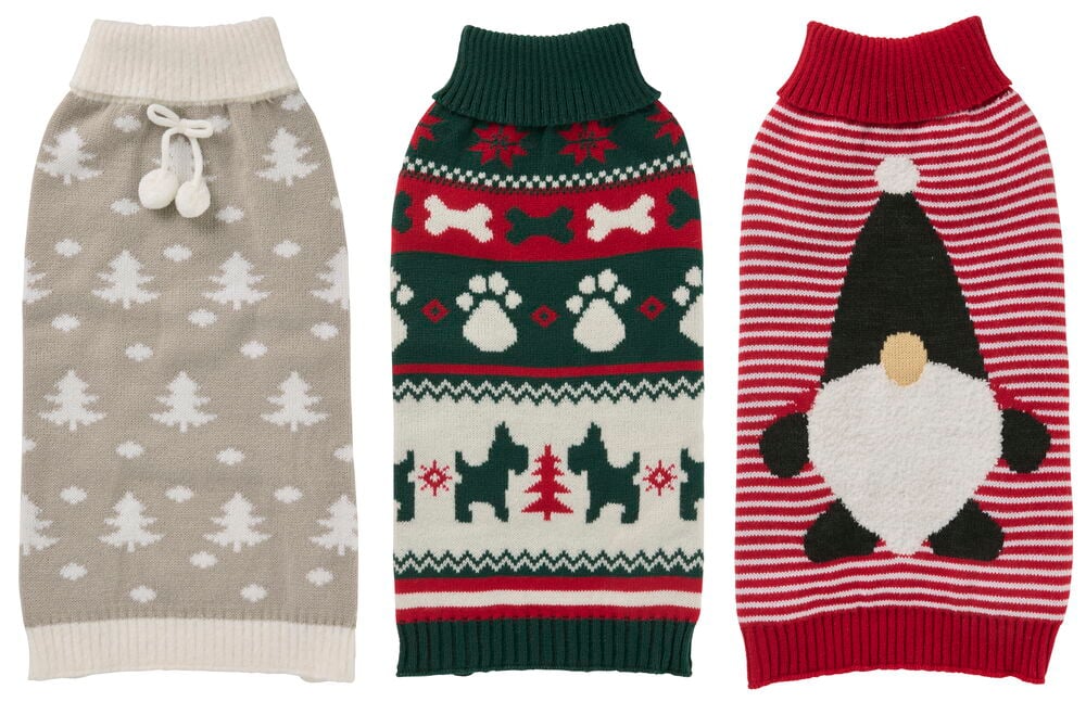 Hundtröja Pet Club - 7