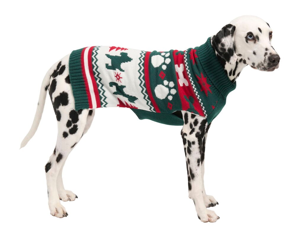 Hundtröja Pet Club - 4