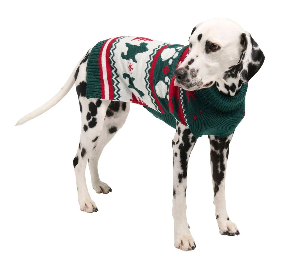 Hundtröja Pet Club - 2