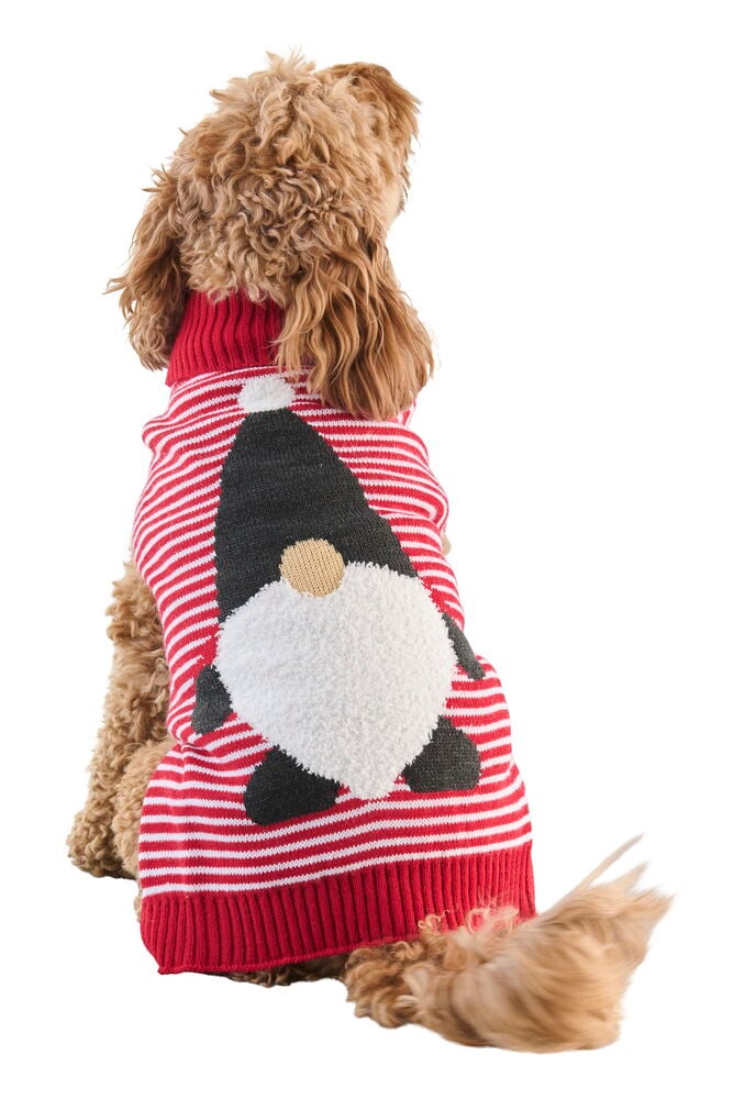 Hundtröja Pet Club - 5