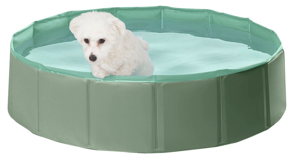 Hundpool Pet Club 120x30 cm, en grön polygonal vikbar pool med ljusblått vatten och en vit hund.