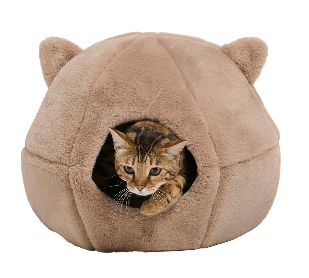 Kattbädd Pet Club - 5