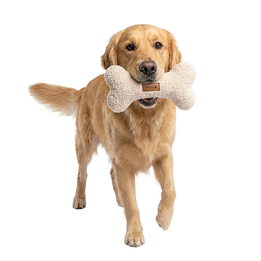 Golden retriever-hund holder et beige Pet Club 23 cm Stoffbein hundeleke i munnen.