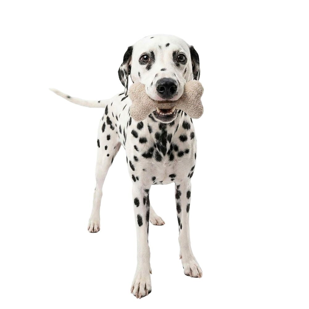 Koiran lelu Pet Club 16 cm Kankainen luu, beigen värinen luun muotoinen pehmolelu, jota dalmatialainen koira pitelee.