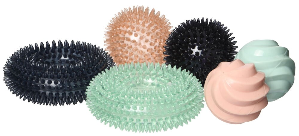 Sex färgglada hundleksaker i olika former och material.