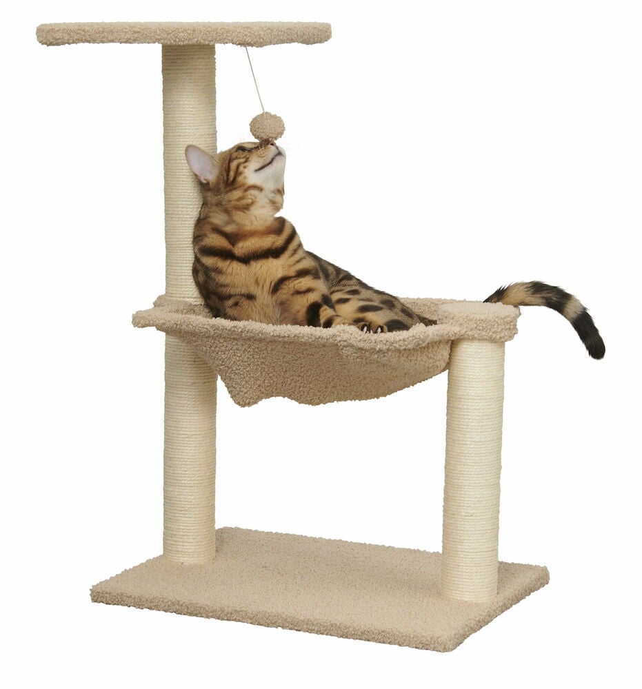 Klösträd med korg och liggande katt.