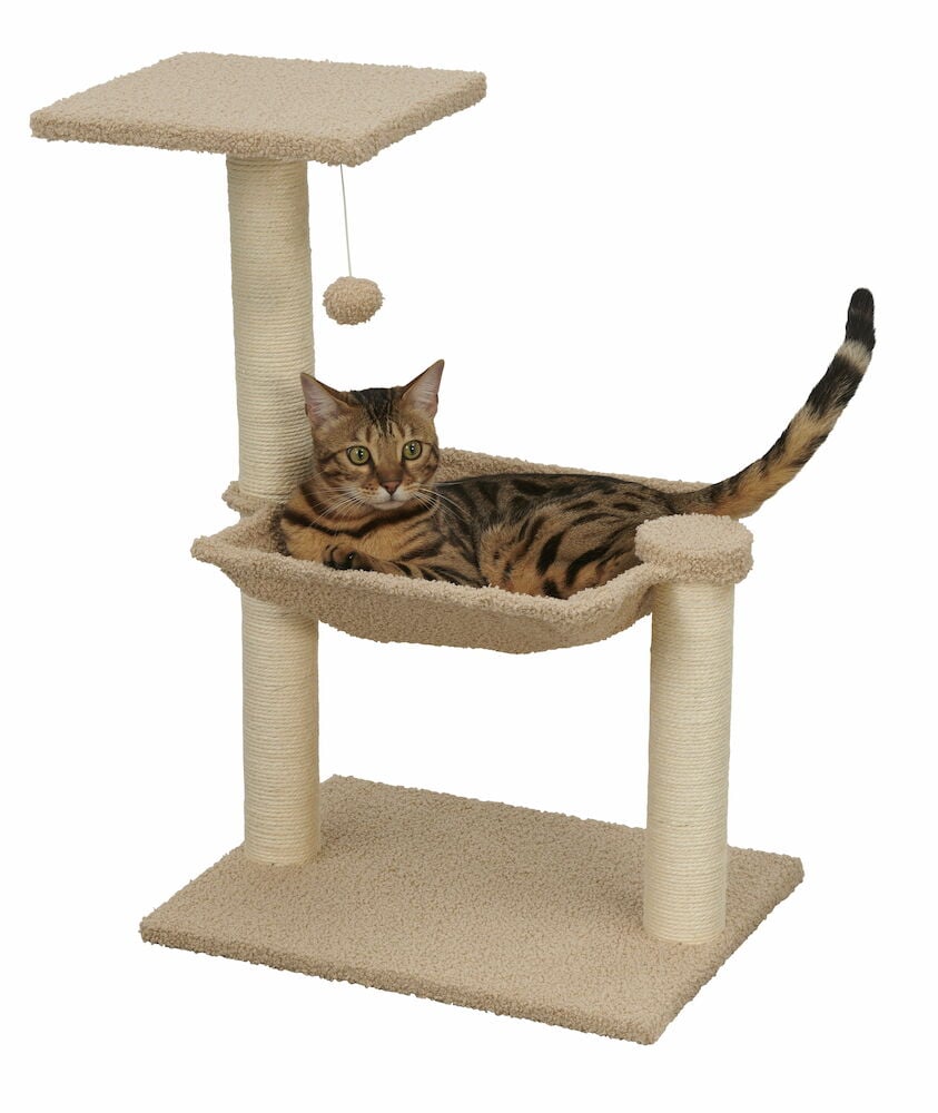 Klösträd med korg och lekboll, katt ligger.