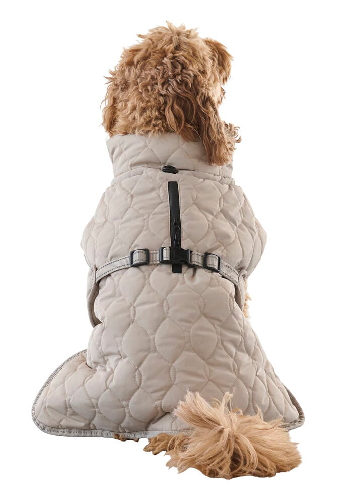 Hundjacka Quilted - 6