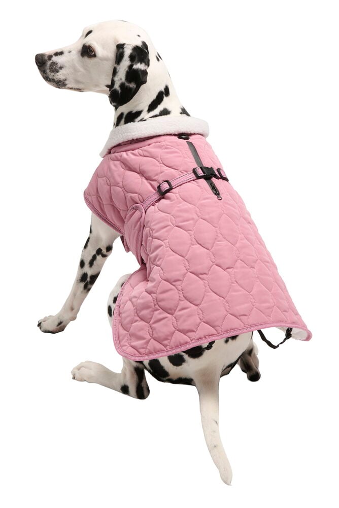 Hundjacka Quilted - 2