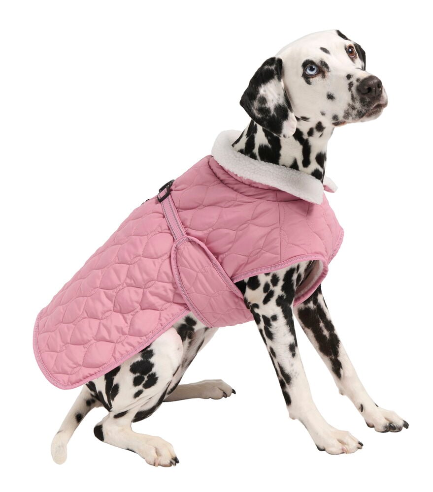 Koirantakki Quilted - 3