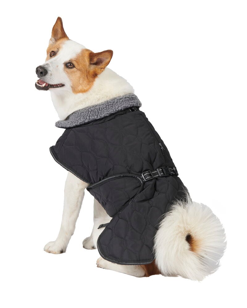 Hundjacka Quilted - 4