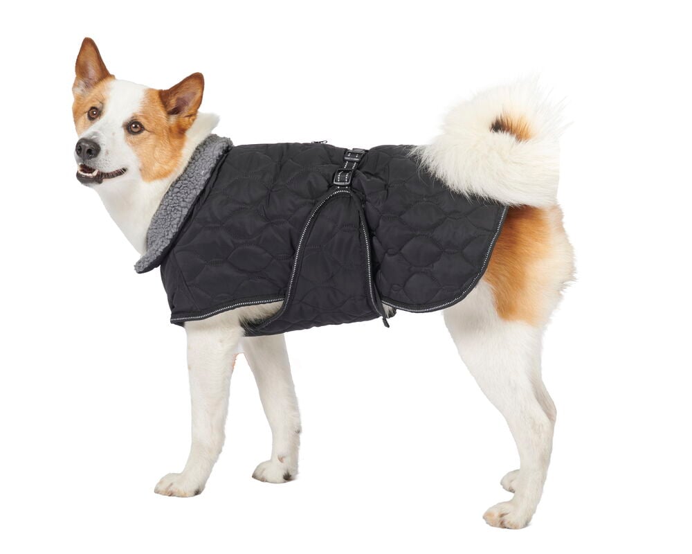 Hundjacka Quilted - 5