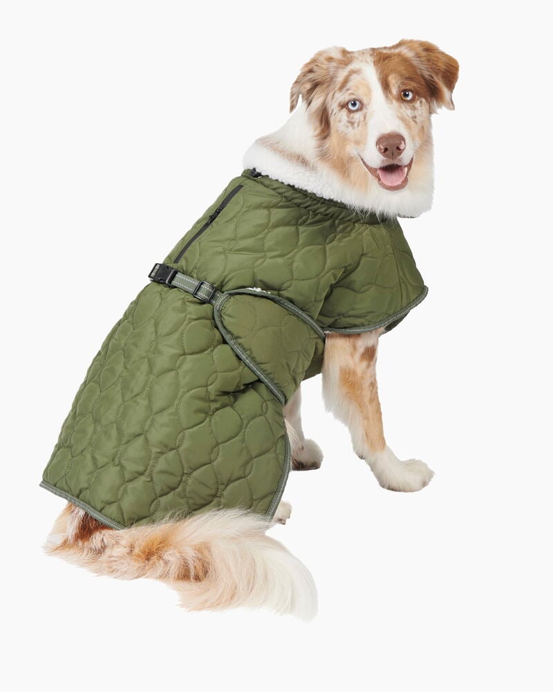 Hundjacka Quilted - 6