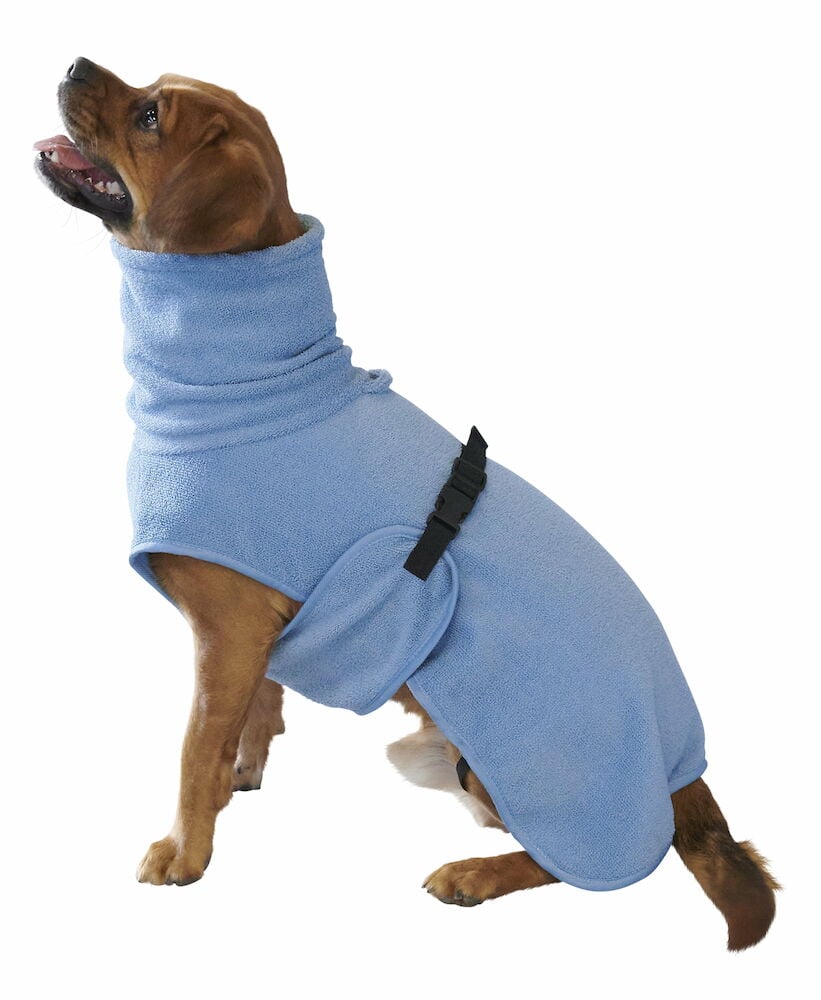 Liten hund i blå badrock med magrem.