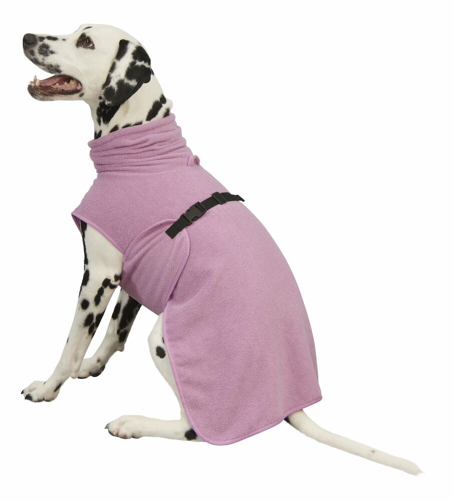 Dalmatinerhund bär rosa mikrofiber badrock med spänne.