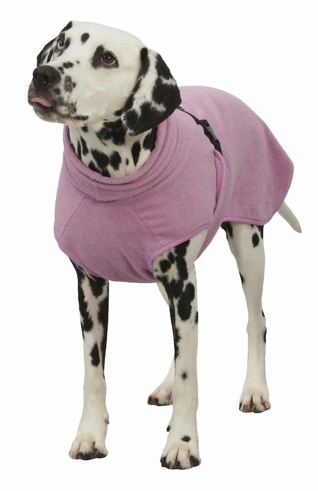 Dalmatinerhund bär rosa mikrofiberbadrock storlek M–L.