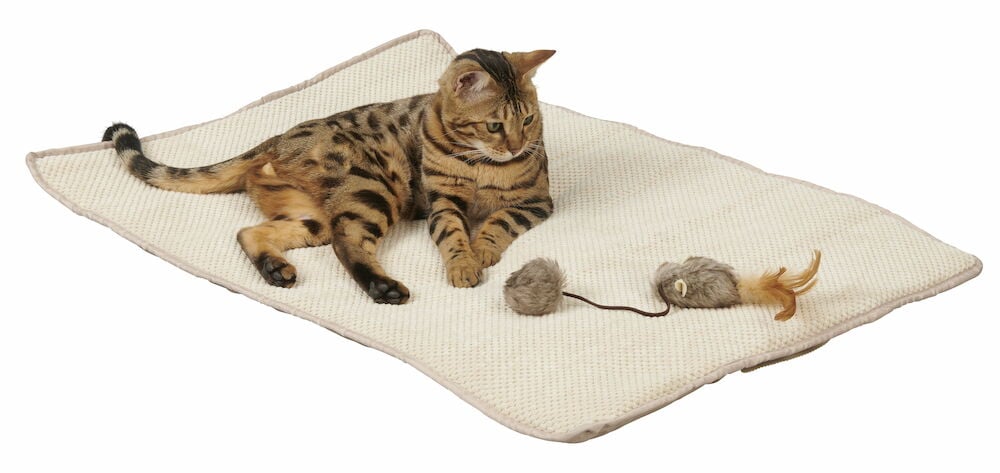 En beige filt med katt och leksaksmus.