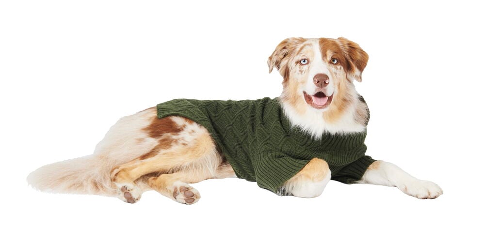 Hundtröja - 7
