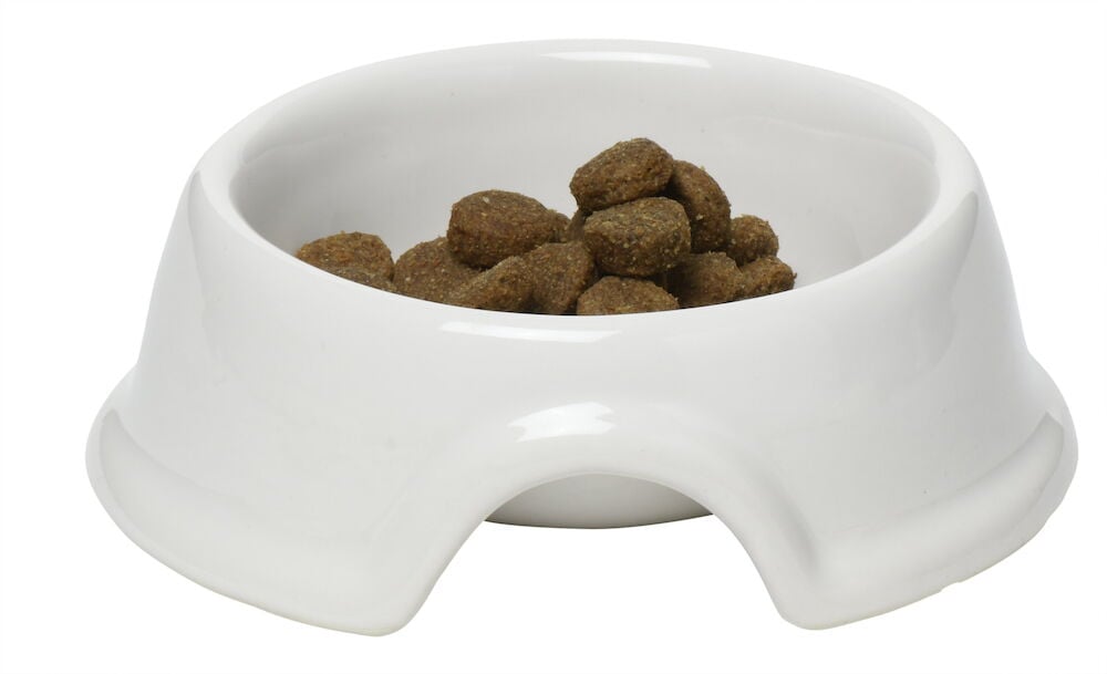 Vit stengodsskål med bred botten och djurfoder.