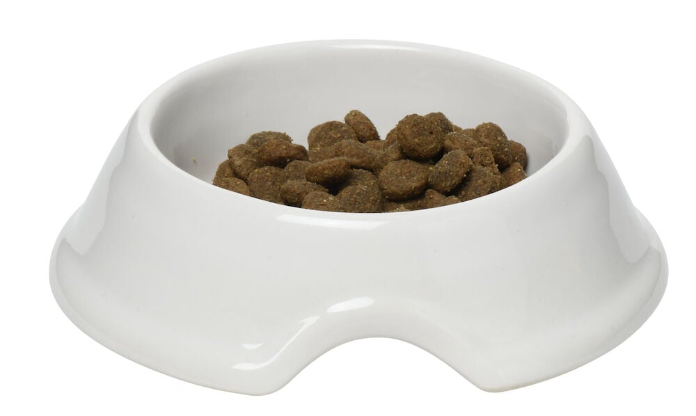 Vit matskål i stengods med torrfoder inuti.