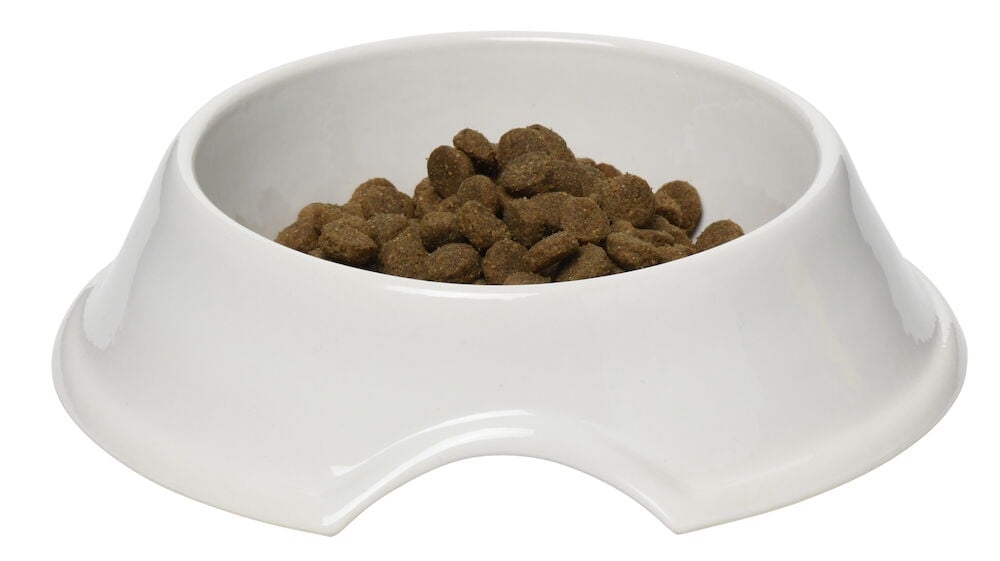 Vit matskål i stengods med torrfoder inuti.