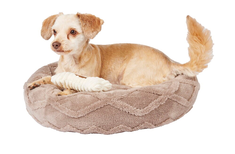 Liten hund ligger på rund beige djurbädd.