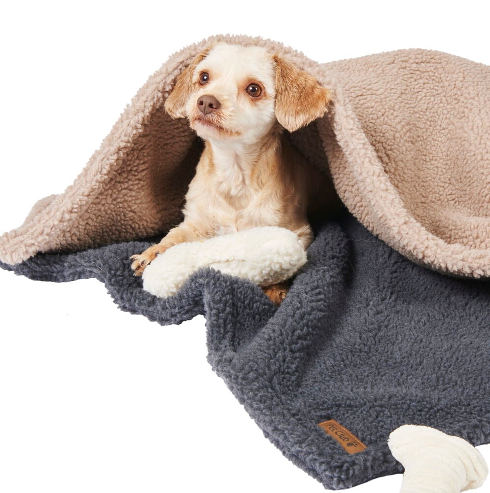 Liten hund vilar på mjuka fleecefiltar.