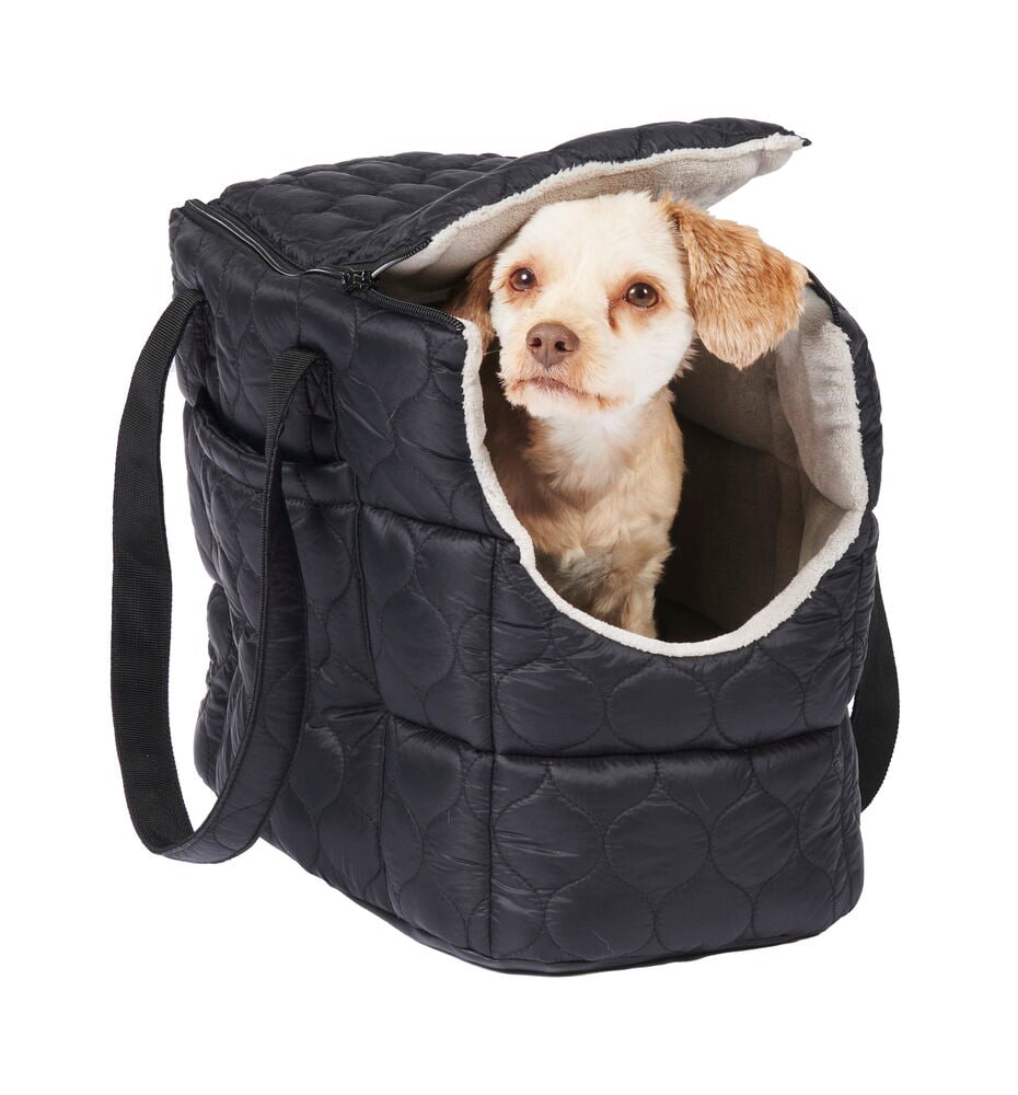 Liten hund i svart mjuk vadderad väska.