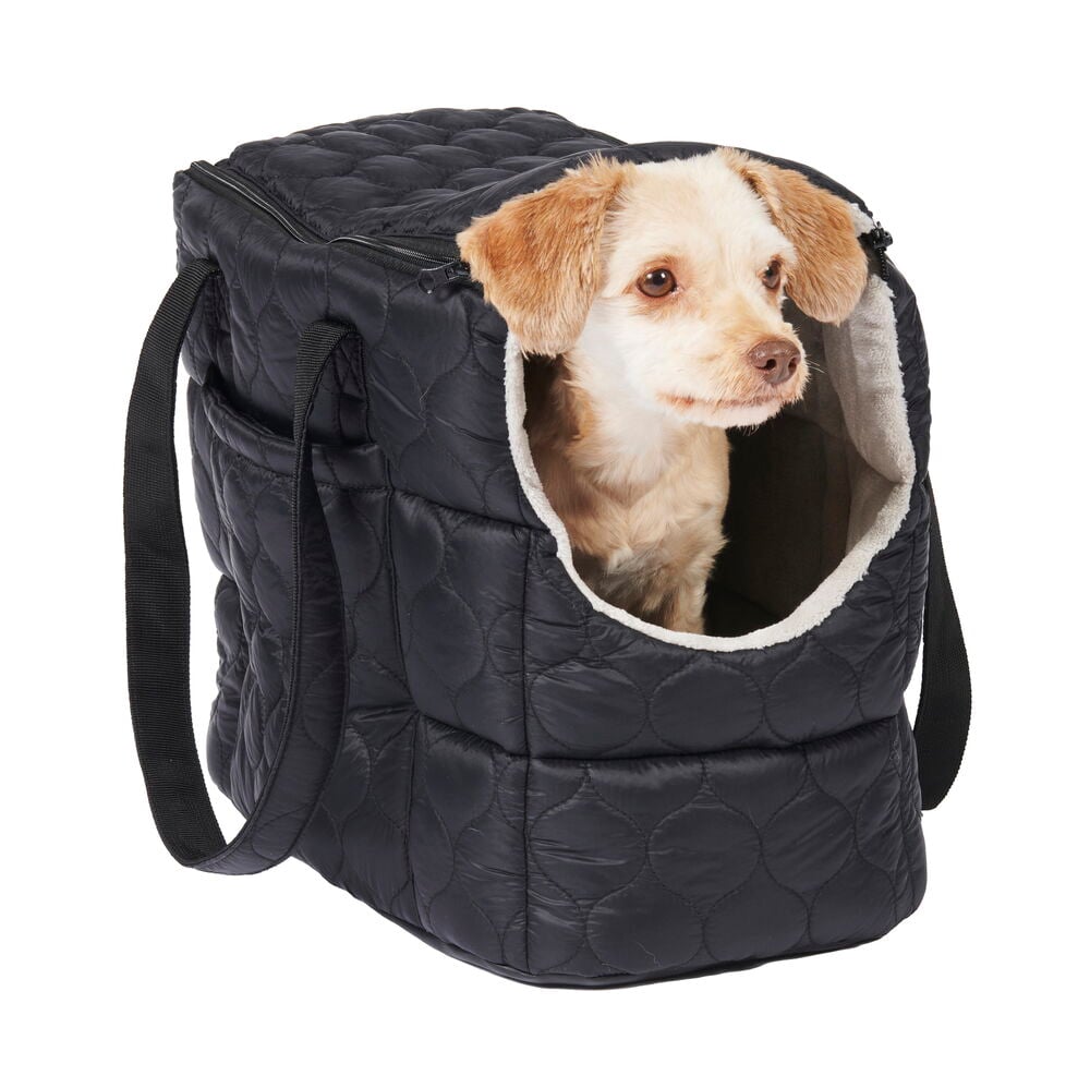 Liten hund i svart vadderad bärväska med axelrem.