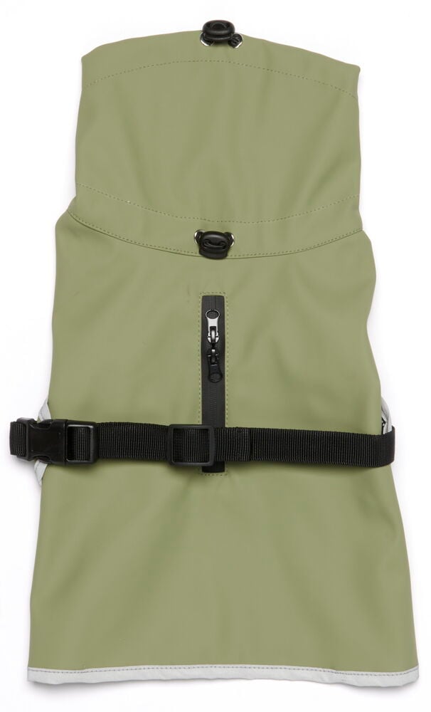 Ljusgrön regnjacka för hund med svart bälte.