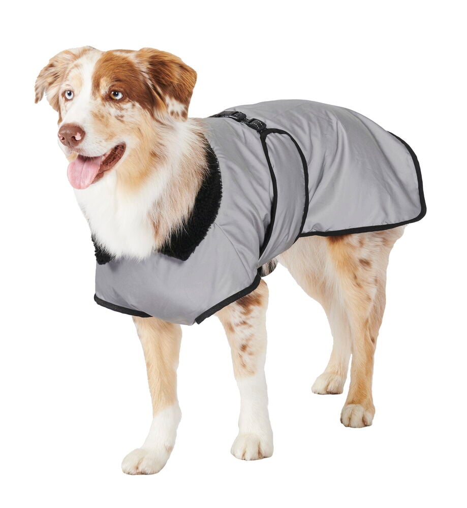 Hund vinterjacka reflex