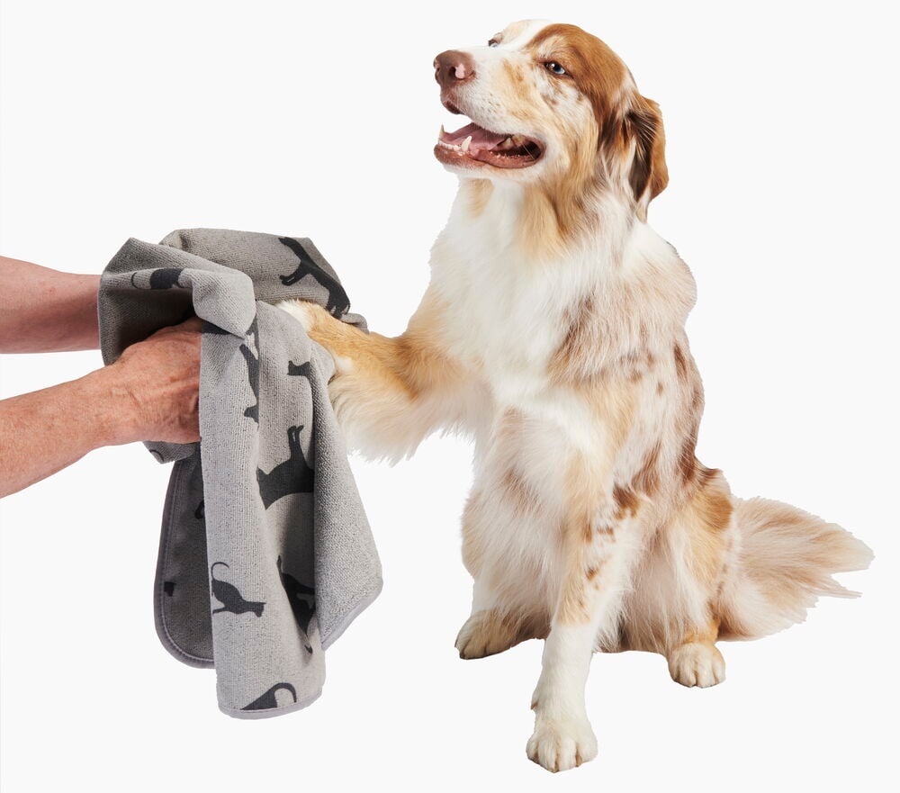 Koira kuivataan harmaalla mikrokuitupyyhkeellä, jossa on kuvio.
