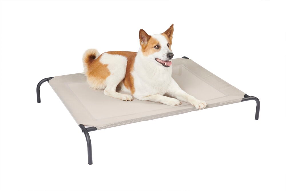 Hund ligger på benförsedd varmgrå hundsäng.