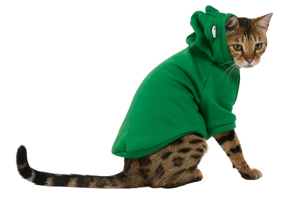 Hoodie für Haustier - 4