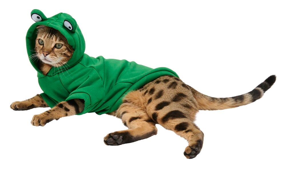 Hoodie für Haustier