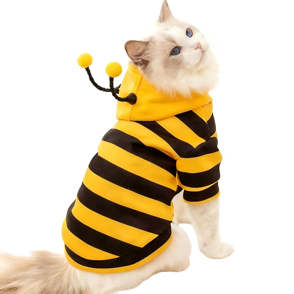 Hoodie für Haustier Gemischte Designs: Eine weiße Katze trägt einen gelb-schwarz gestreiften Haustier-Hoodie mit Bienenfühlern an der Kapuze.
