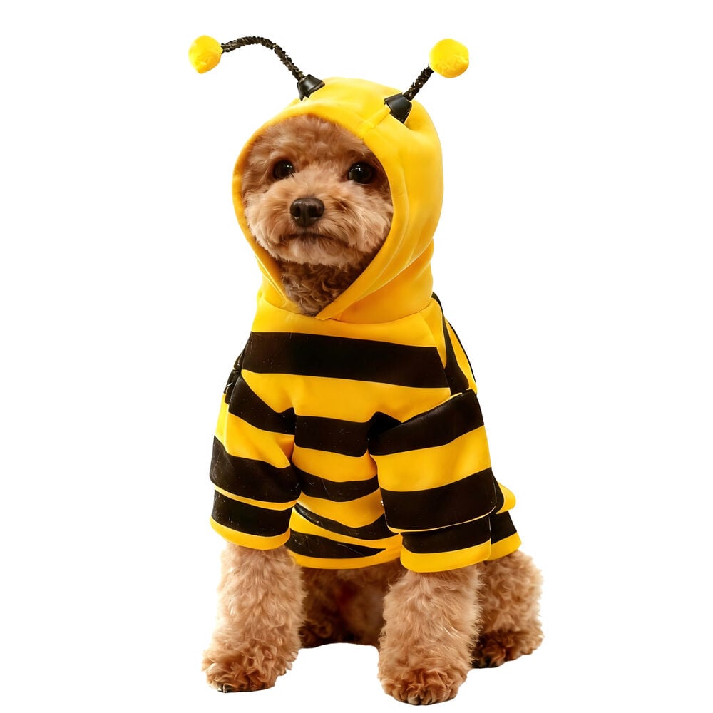 Hoodie für Haustier