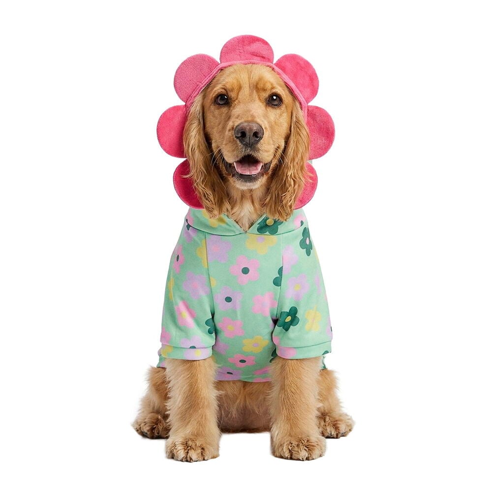 Hoodie für Haustier Gemischte Designs. Ein Hund trägt einen mintgrünen Blumen-Hoodie und eine pinke Blumen-Kopfbedeckung, Vorderansicht.