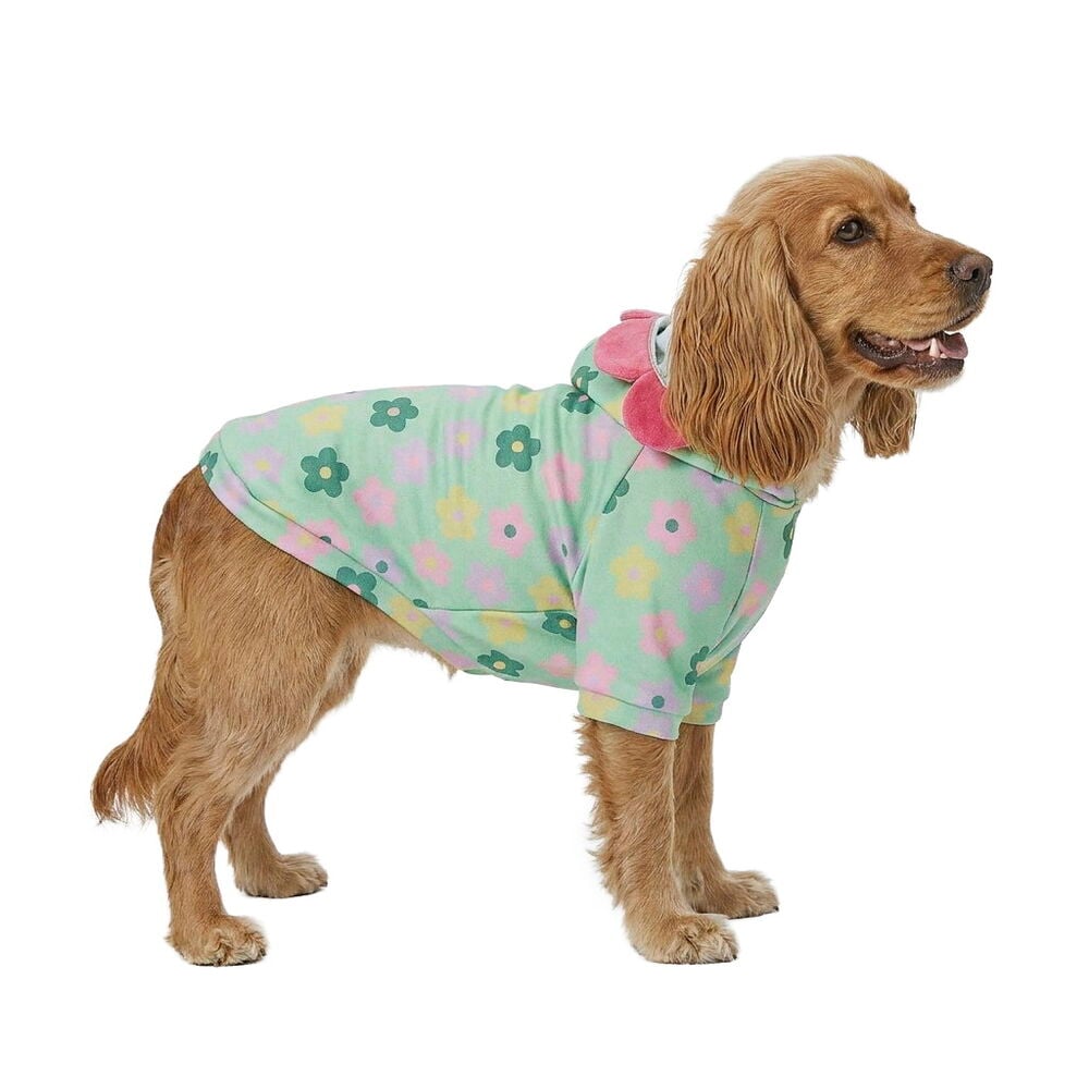 Hoodie für Haustier Gemischte Designs, mintgrün mit rosa, gelbem und grünem Blumenmuster, getragen von einem Hund.