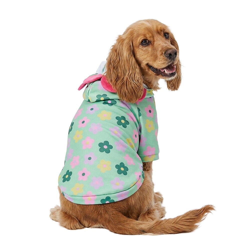 Ein Hund trägt einen hellgrünen Hoodie für Haustier mit rosa, gelben, dunkelgrünen Blumenmustern und rosa Ohrendetails.