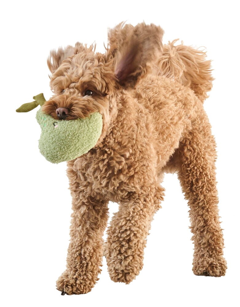 Hundleksak Bouclé Pet Club - 7