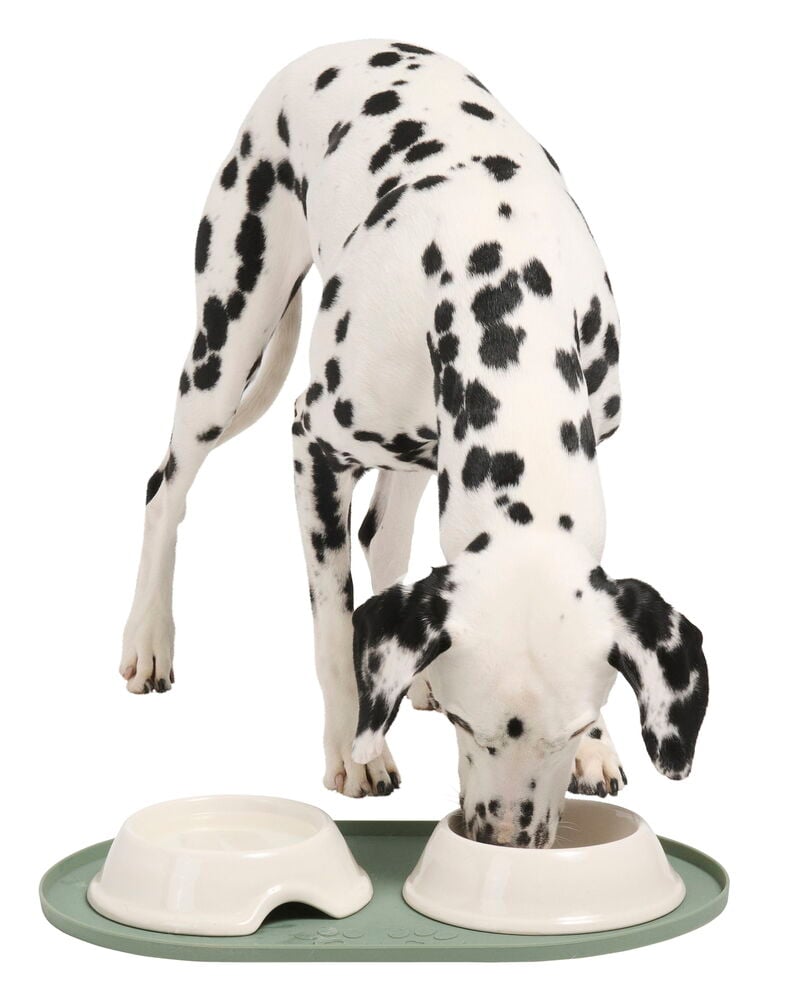 Matskålsunderlägg för husdjur - 5