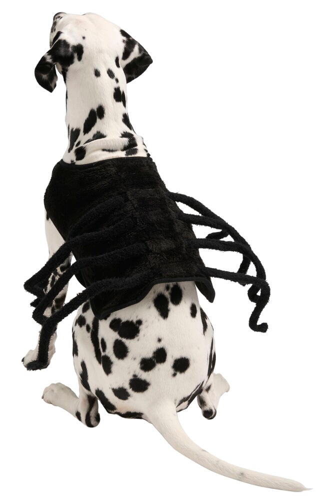 Kostyme til hund og katt Spider - 2
