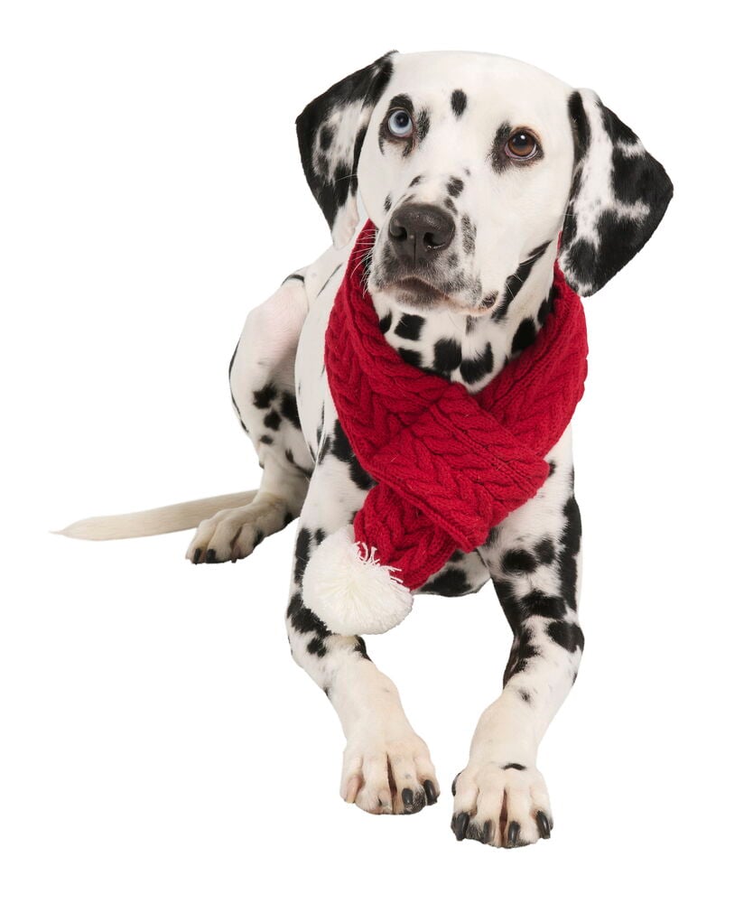 Julscarf, husdjur - 3