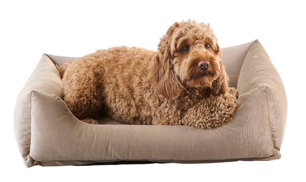 Djurbädd Velvet - 3