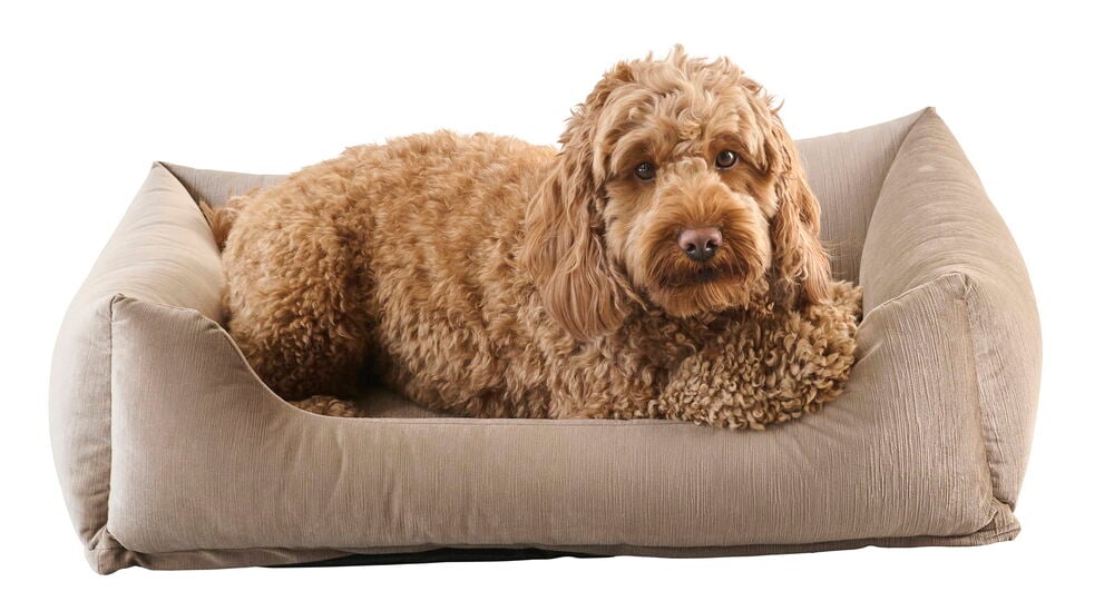 Djurbädd Velvet - 4