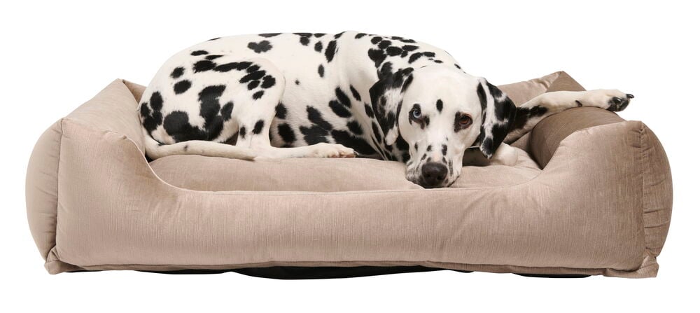 Djurbädd Velvet - 3