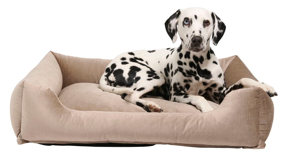 Djurbädd Velvet - 4