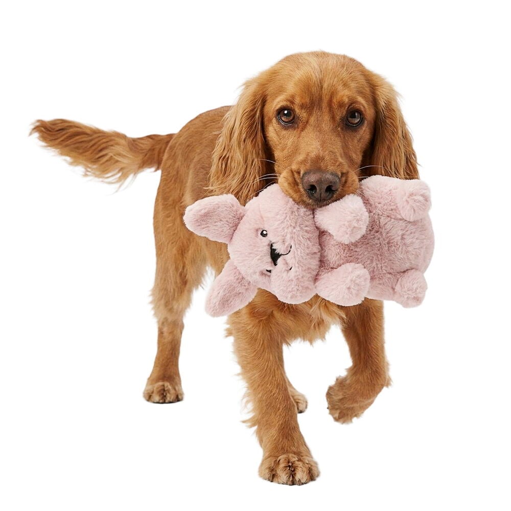 Rosa plysj Hundeleke Pet Club Furry Sweetheart holdes i munnen av en brun hund.